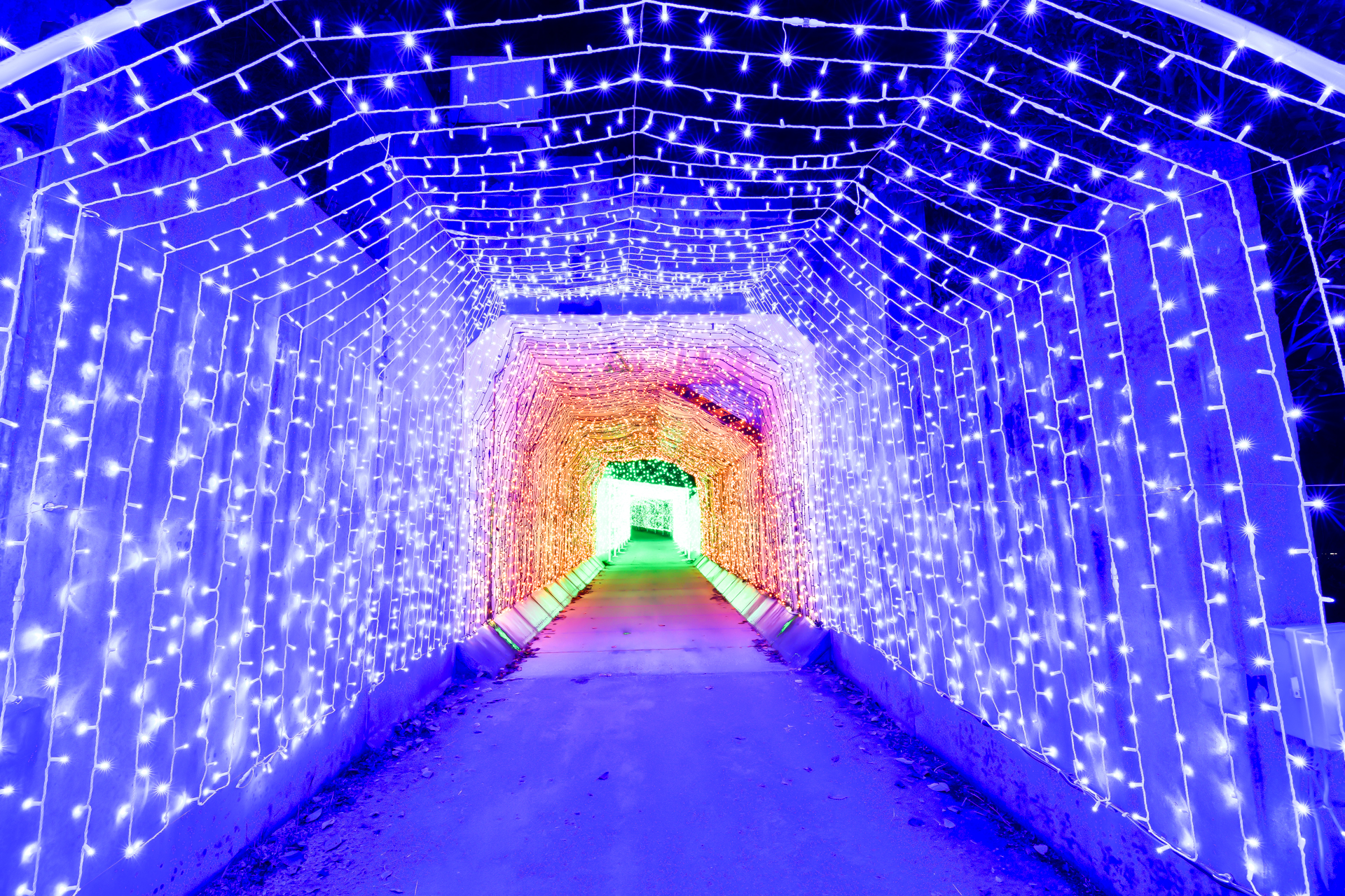 さがみ湖イルミリオン　光のトンネル