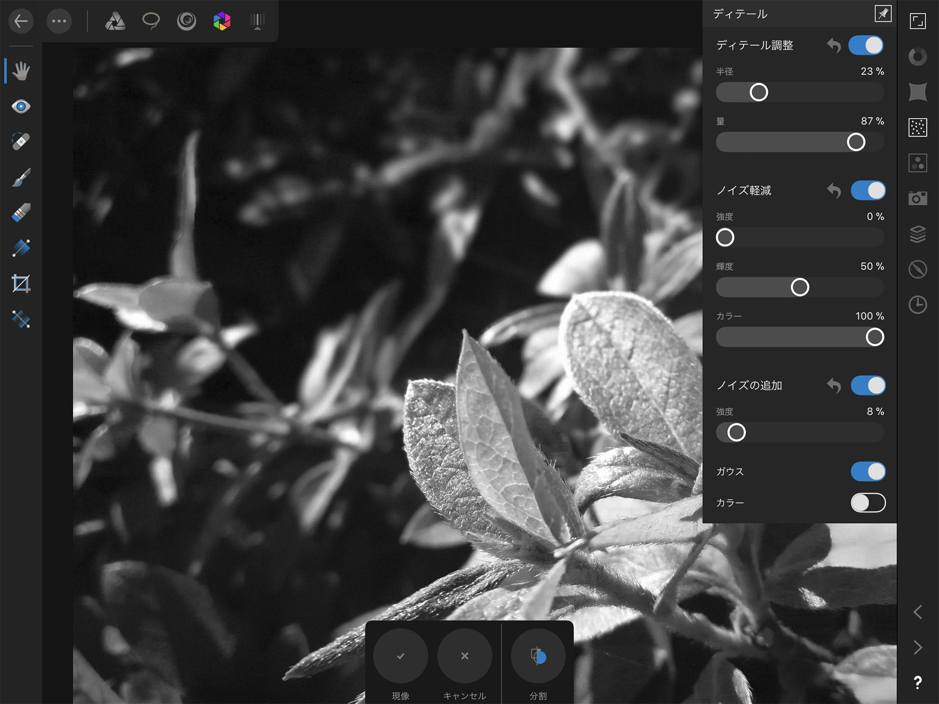 Affinity Photo iPad RAW現像 モノクロ