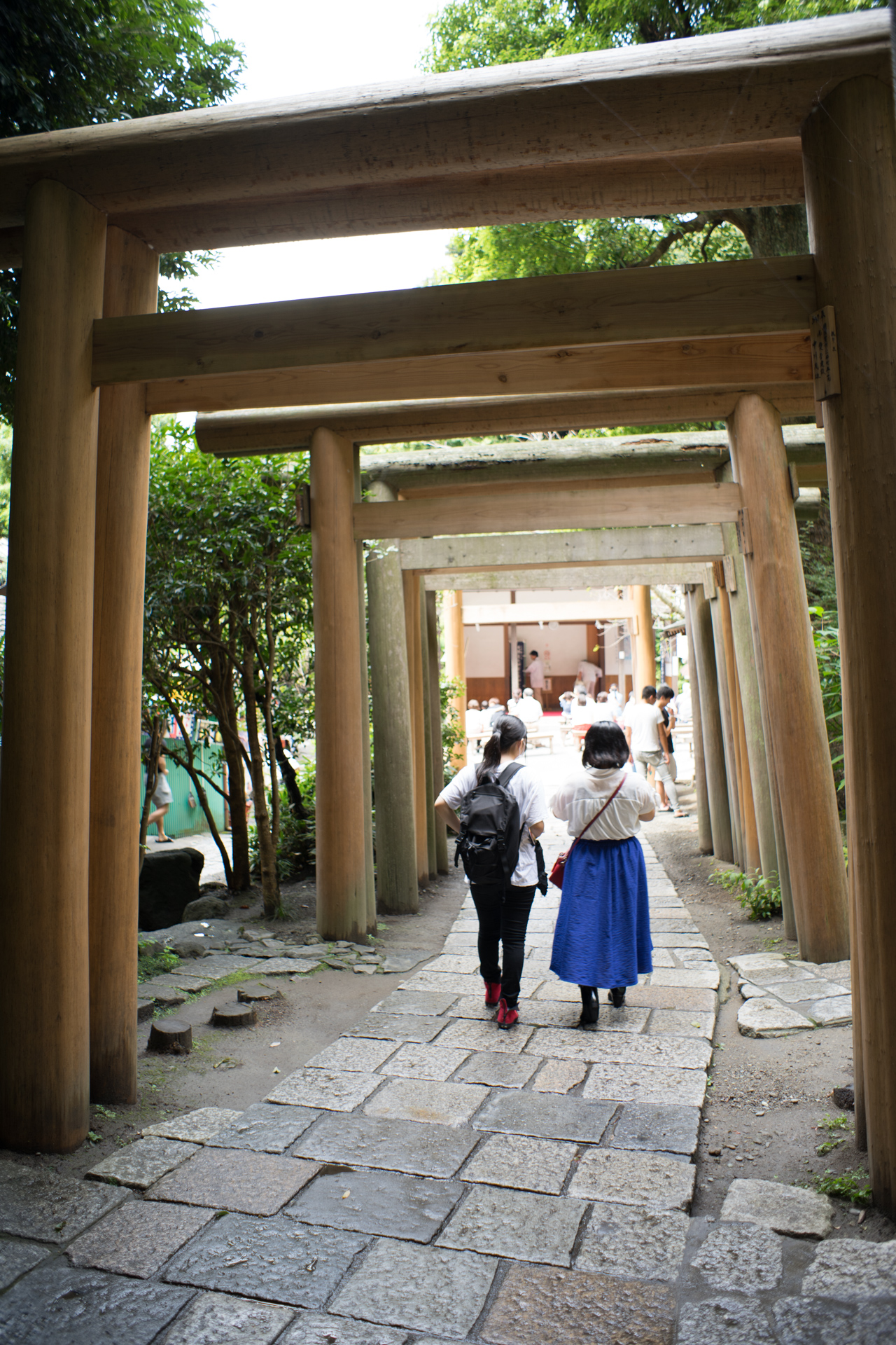 オールドレンズ作例】SMC Takumar 28mm F3.5で撮る神奈川県鎌倉市